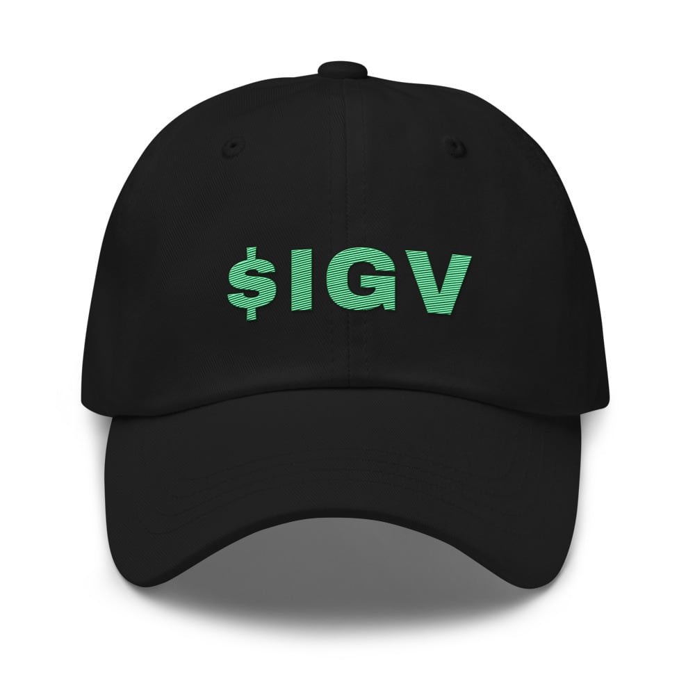 $IGV embroidered hat