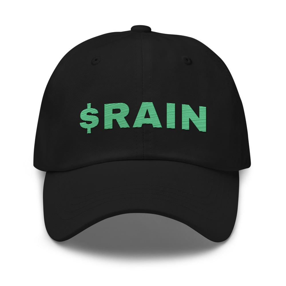 $RAIN-USD embroidered hat